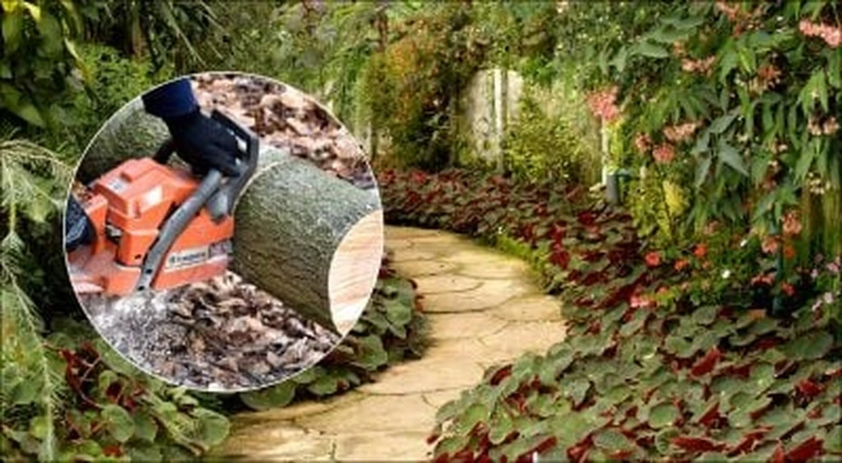 Ścieżka w ogrodzie z pozyskanego drewna: ekologiczna i stylowa alternatywa dla betonu i płytek