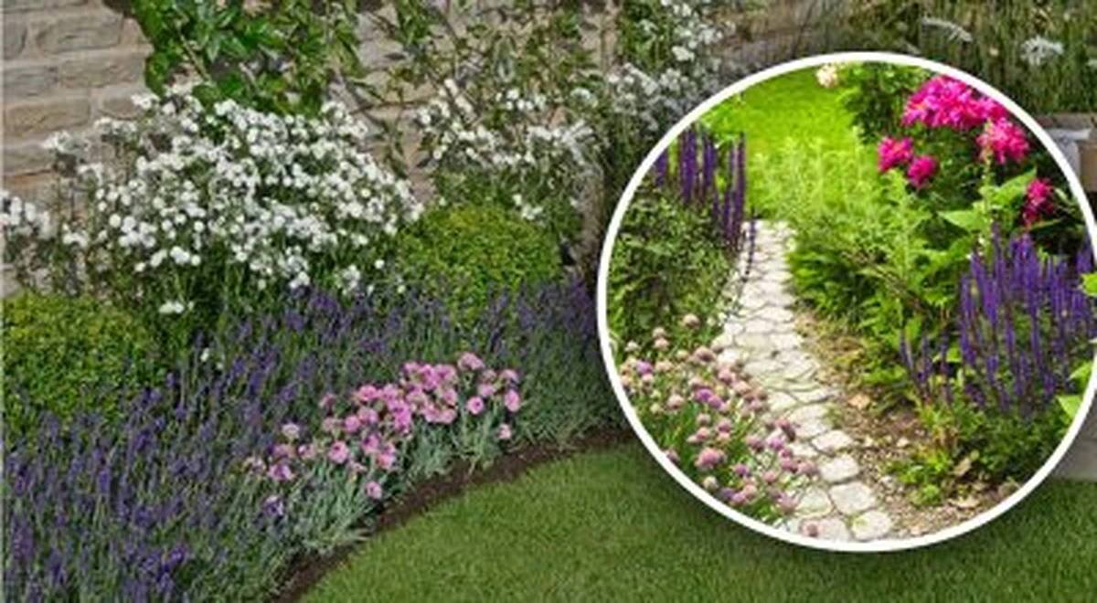 Ogród bez wysiłku: Idealne byliny dla "leniwej" rabaty - słońce i cień