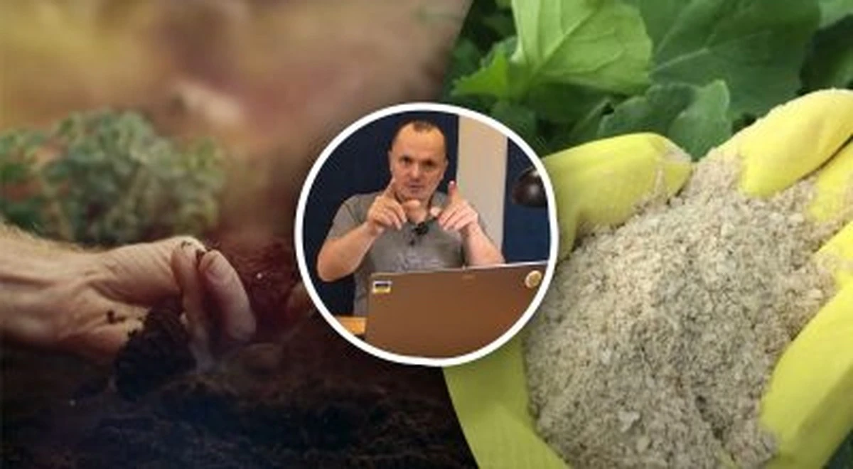 Trzy kluczowe grupy nawozów, które gwarantują obfite plony – oto jakich użyć